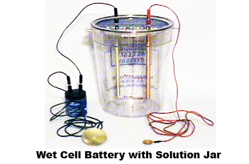 Wet Cell Battery